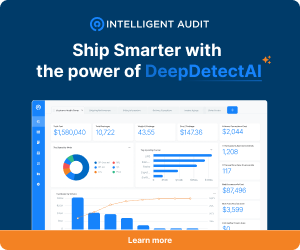 Intelligent Audit Body
